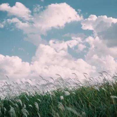 剑雨江湖qq登录手机版下载